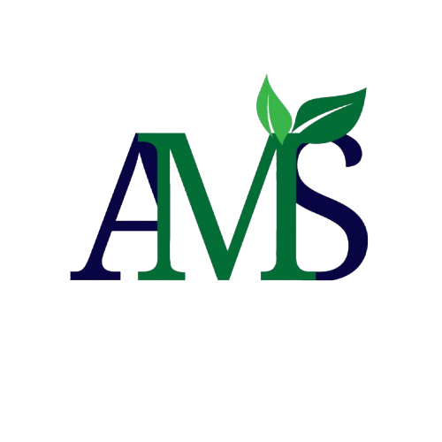 AMS Soluções Integradas